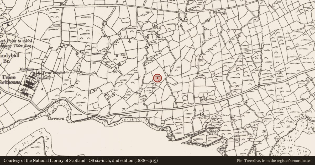 Ordnance Survey six-inch map, 2nd edition (1888–1915) covering the location of Burial ground, Derrymihin West, County Cork, with a pin at the register's coordinates