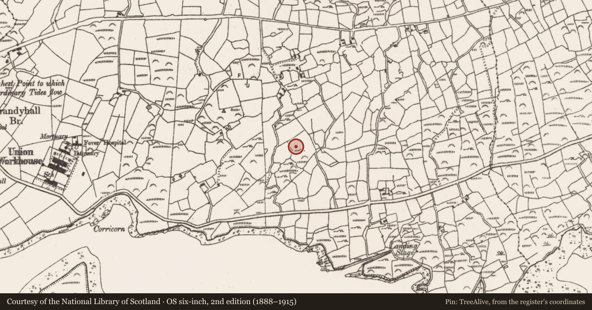 Ordnance Survey six-inch map, 2nd edition (1888–1915) covering the location of Megalithic structure, Derrymihin West, County Cork, with a pin at the register's coordinates