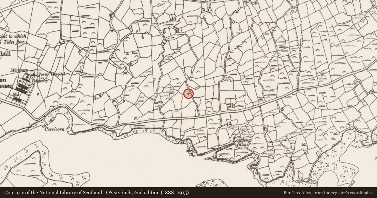 Ordnance Survey six-inch map, 2nd edition (1888–1915) covering the location of Bullaun stone, Derrymihin West, County Cork, with a pin at the register's coordinates