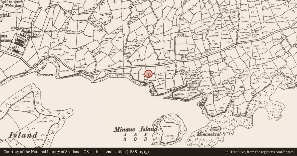Ordnance Survey six-inch map, 2nd edition (1888–1915) covering the location of Megalithic structure, Derrymihin West, County Cork, with a pin at the register's coordinates