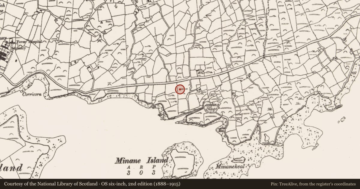 Ordnance Survey six-inch map, 2nd edition (1888–1915) covering the location of Standing stone, Derrymihin West, County Cork, with a pin at the register's coordinates