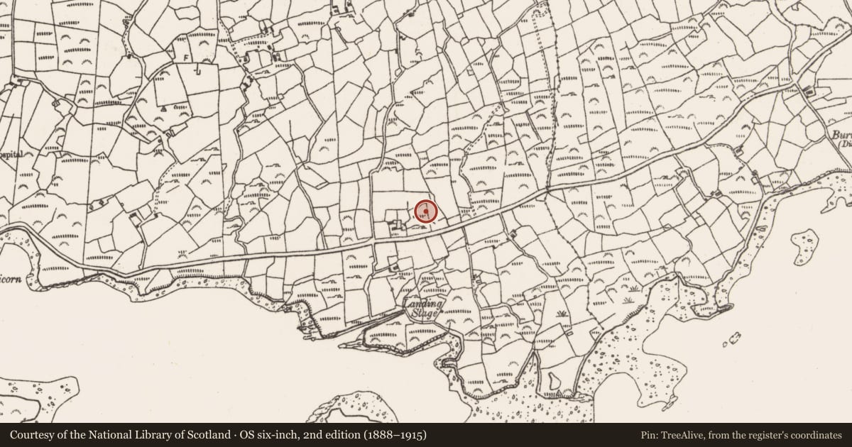Ordnance Survey six-inch map, 2nd edition (1888–1915) covering the location of Stone row, Derrymihin West, County Cork, with a pin at the register's coordinates