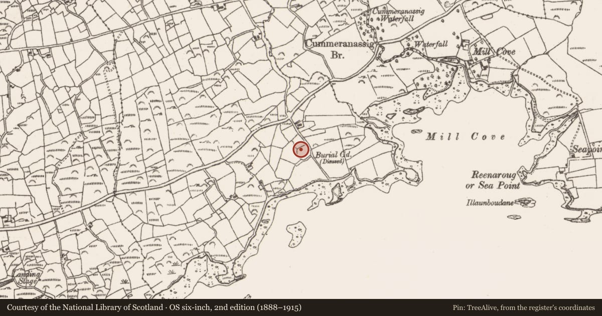 Ordnance Survey six-inch map, 2nd edition (1888–1915) covering the location of Burial ground, Rodeen, County Cork, with a pin at the register's coordinates
