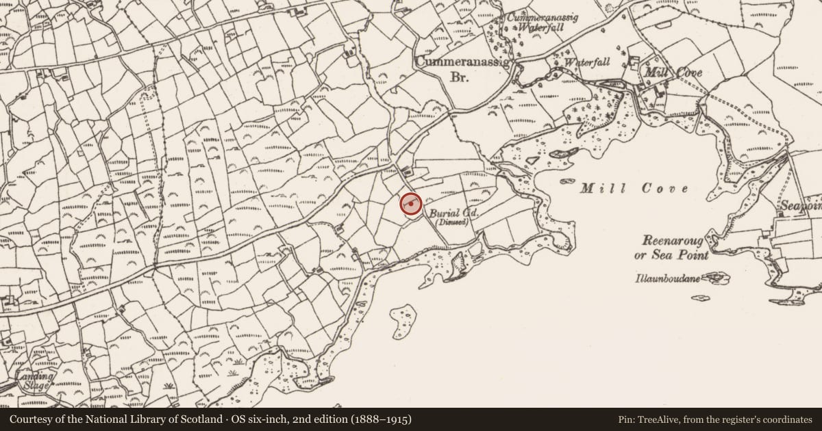 Ordnance Survey six-inch map, 2nd edition (1888–1915) covering the location of Standing stone, Rodeen, County Cork, with a pin at the register's coordinates