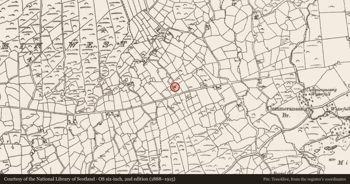 Ordnance Survey six-inch map, 2nd edition (1888–1915) covering the location of Standing stone, Rodeen, County Cork, with a pin at the register's coordinates