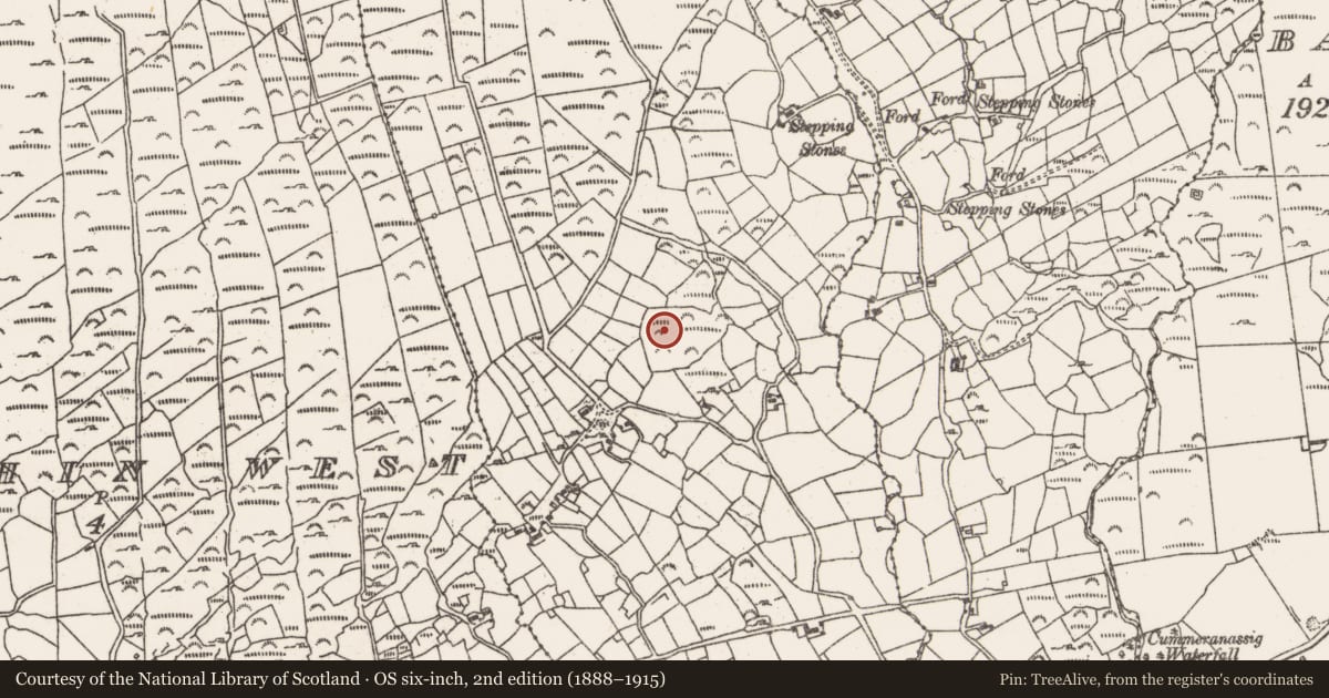 Ordnance Survey six-inch map, 2nd edition (1888–1915) covering the location of Standing stone, Rodeen, County Cork, with a pin at the register's coordinates