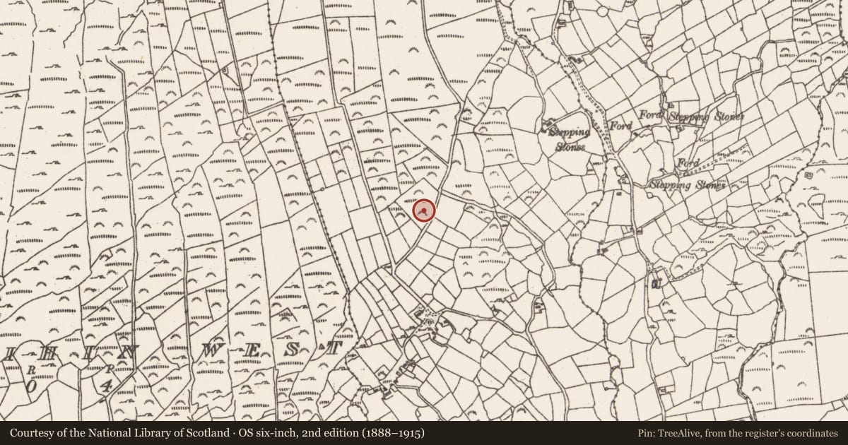 Ordnance Survey six-inch map, 2nd edition (1888–1915) covering the location of Anomalous stone group, Rodeen, County Cork, with a pin at the register's coordinates
