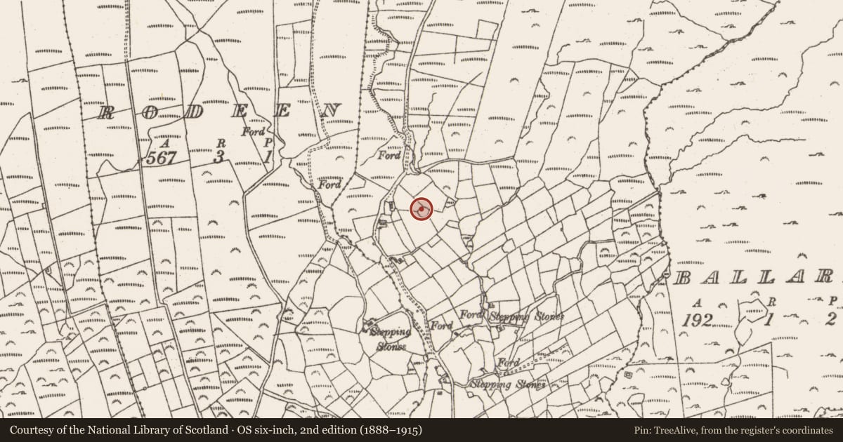 Ordnance Survey six-inch map, 2nd edition (1888–1915) covering the location of Ringfort - cashel, Derrymihin East, County Cork, with a pin at the register's coordinates