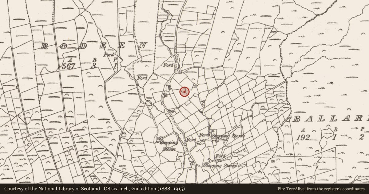 Ordnance Survey six-inch map, 2nd edition (1888–1915) covering the location of Mound, Derrymihin East, County Cork, with a pin at the register's coordinates