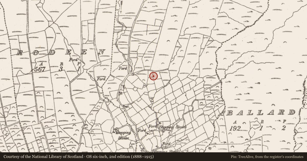 Ordnance Survey six-inch map, 2nd edition (1888–1915) covering the location of Standing stone, Derrymihin East, County Cork, with a pin at the register's coordinates