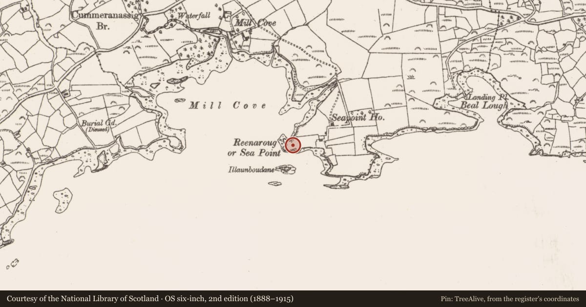 Ordnance Survey six-inch map, 2nd edition (1888–1915) covering the location of Kiln - lime, Felane West, County Cork, with a pin at the register's coordinates