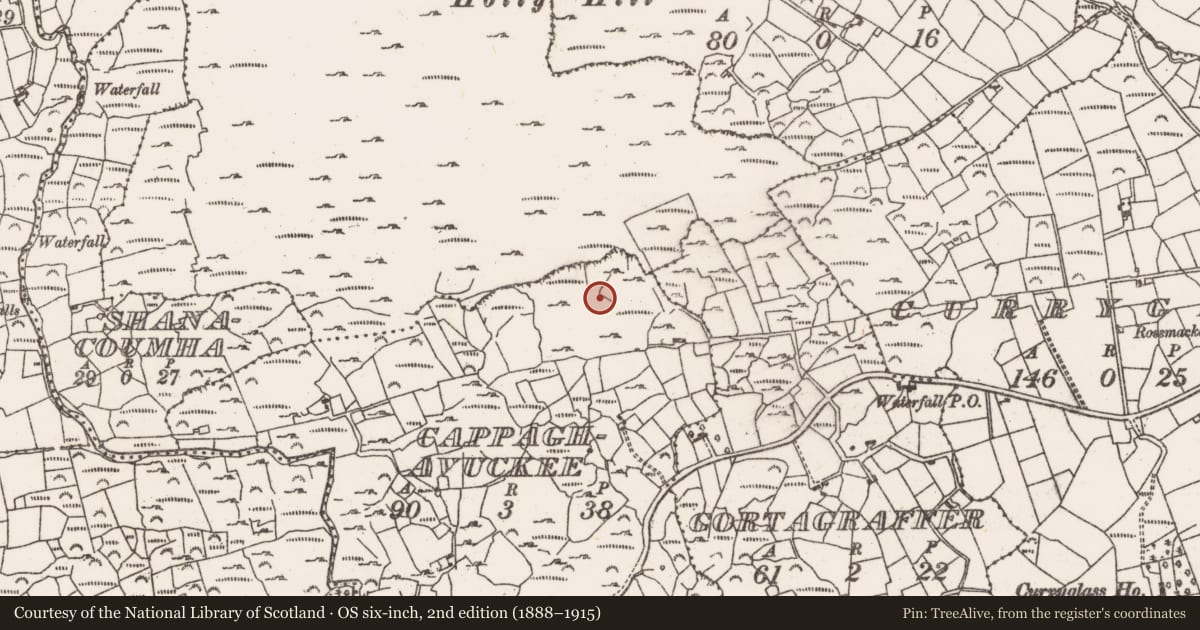 Ordnance Survey six-inch map, 2nd edition (1888–1915) covering the location of Boulder-burial, Cappaghavuckee, County Cork, with a pin at the register's coordinates