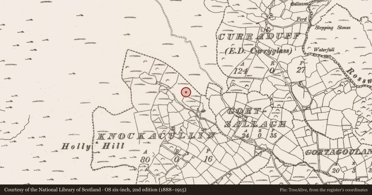 Ordnance Survey six-inch map, 2nd edition (1888–1915) covering the location of Ringfort - rath, Knockacullin, County Cork, with a pin at the register's coordinates
