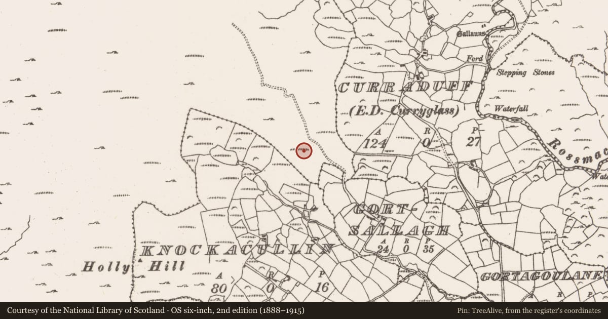 Ordnance Survey six-inch map, 2nd edition (1888–1915) covering the location of Standing stone, Rossmackowen Commons, County Cork, with a pin at the register's coordinates