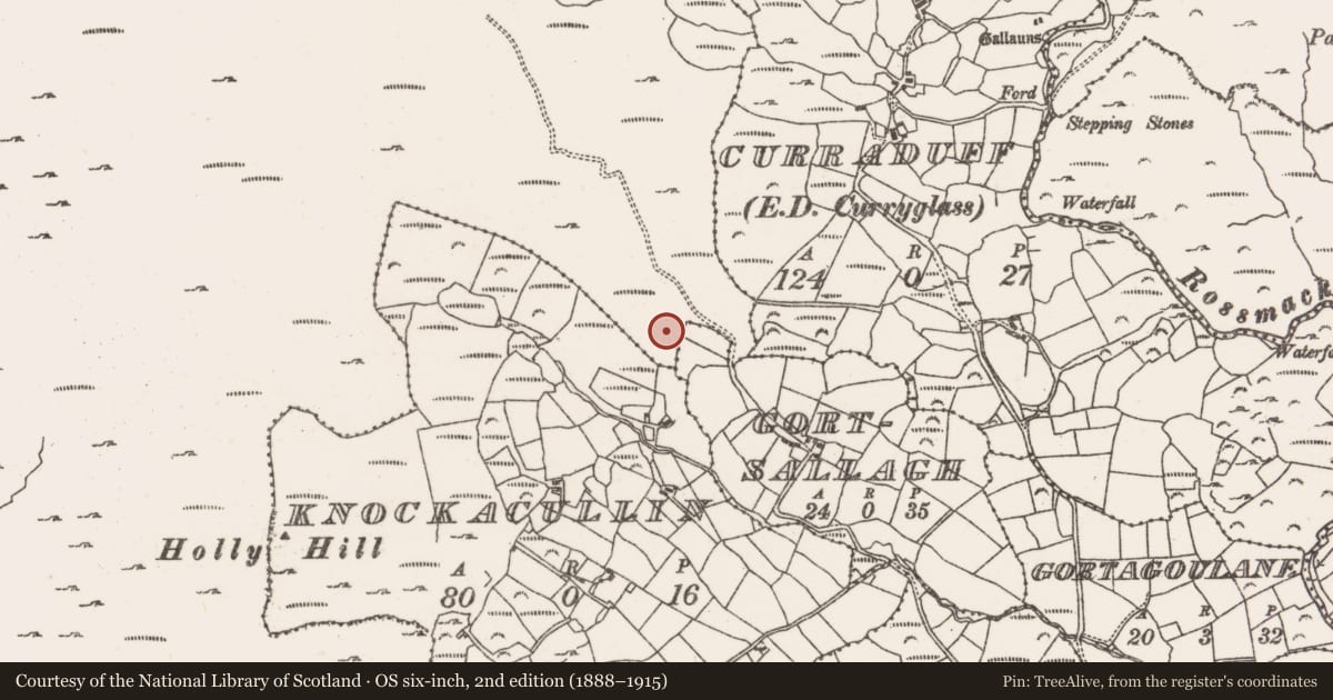 Ordnance Survey six-inch map, 2nd edition (1888–1915) covering the location of Standing stone, Rossmackowen Commons, County Cork, with a pin at the register's coordinates