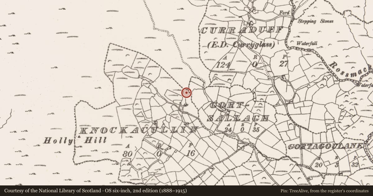 Ordnance Survey six-inch map, 2nd edition (1888–1915) covering the location of Standing stone, Knockacullin, County Cork, with a pin at the register's coordinates