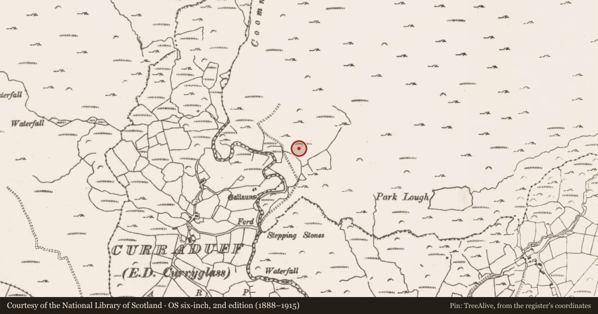 Ordnance Survey six-inch map, 2nd edition (1888–1915) covering the location of Mass-rock, Rossmackowen Commons, County Cork, with a pin at the register's coordinates
