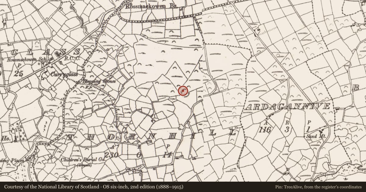 Ordnance Survey six-inch map, 2nd edition (1888–1915) covering the location of Ringfort - rath, Thornhill, County Cork, with a pin at the register's coordinates