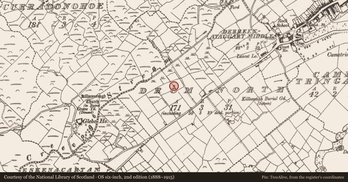 Ordnance Survey six-inch map, 2nd edition (1888–1915) covering the location of Standing stone, Drom North, County Cork, with a pin at the register's coordinates