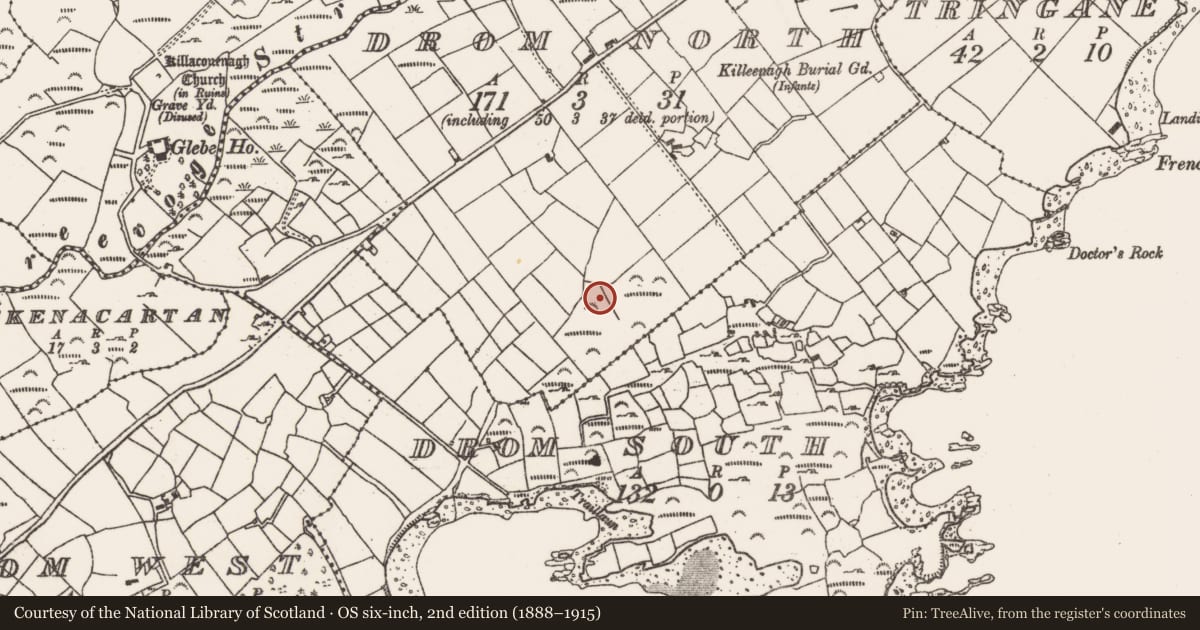 Ordnance Survey six-inch map, 2nd edition (1888–1915) covering the location of Ringfort - rath, Drom North, County Cork, with a pin at the register's coordinates