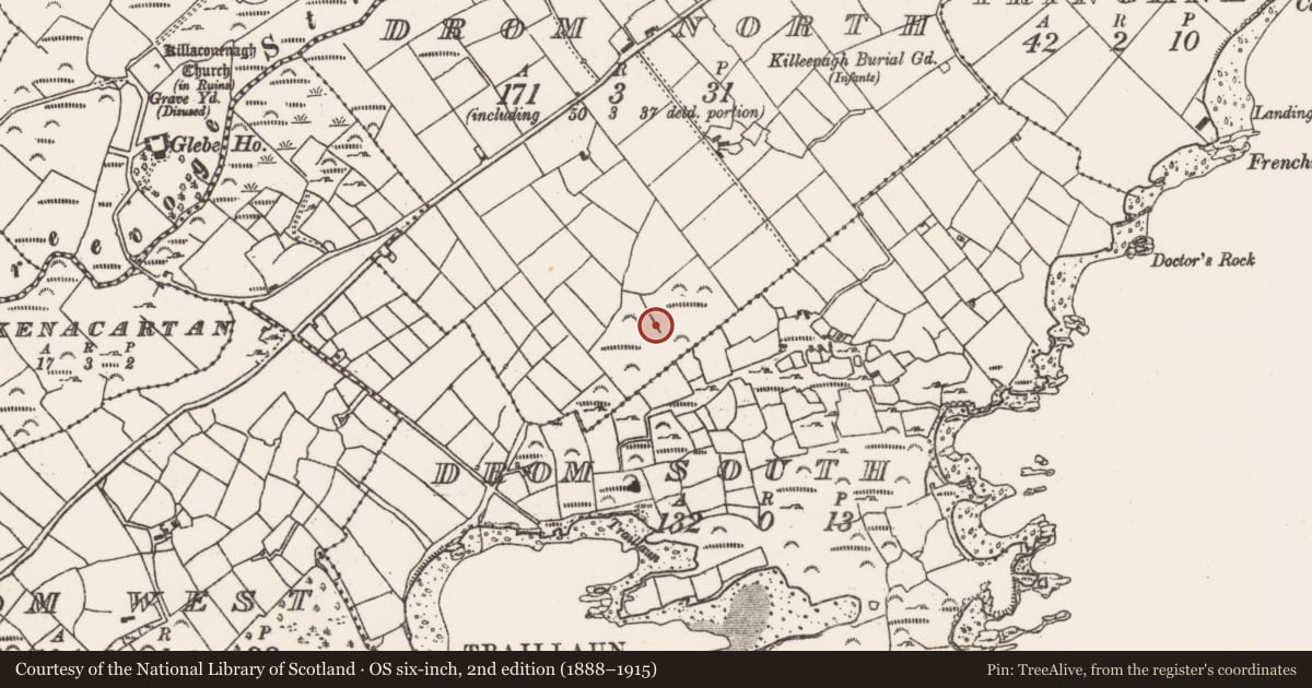 Ordnance Survey six-inch map, 2nd edition (1888–1915) covering the location of Standing stone, Drom North, County Cork, with a pin at the register's coordinates