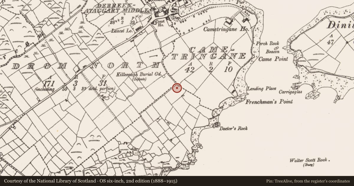 Ordnance Survey six-inch map, 2nd edition (1888–1915) covering the location of Souterrain, Drom South, County Cork, with a pin at the register's coordinates
