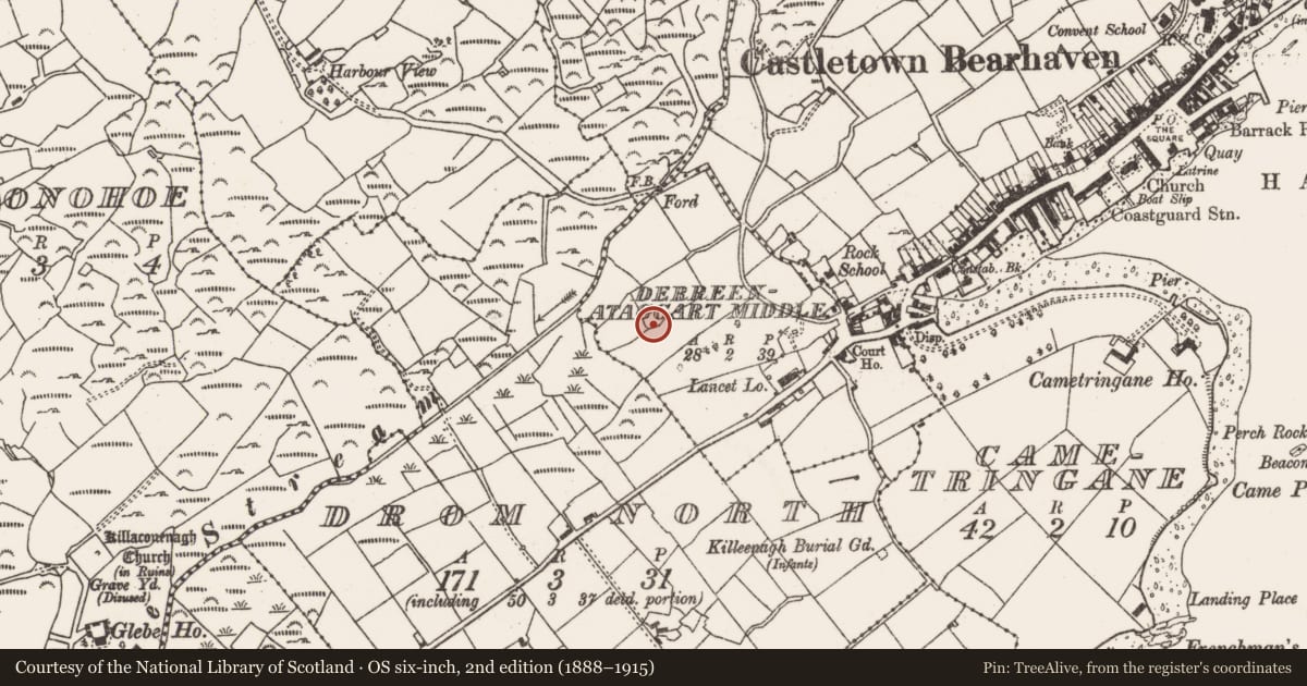Ordnance Survey six-inch map, 2nd edition (1888–1915) covering the location of Standing stone, Derreenataggart Middle, County Cork, with a pin at the register's coordinates