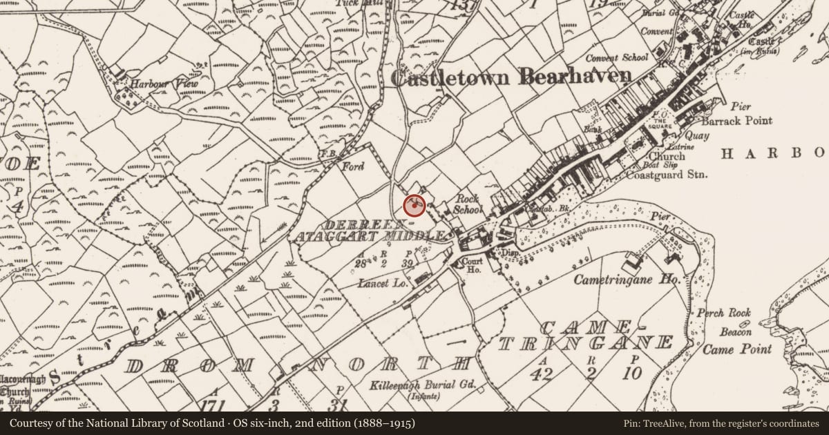 Ordnance Survey six-inch map, 2nd edition (1888–1915) covering the location of Standing stone, Derreenataggart Middle, County Cork, with a pin at the register's coordinates