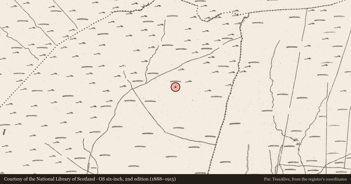 Ordnance Survey six-inch map, 2nd edition (1888–1915) covering the location of Megalithic tomb - wedge tomb, Cloontreem, County Cork, with a pin at the register's coordinates