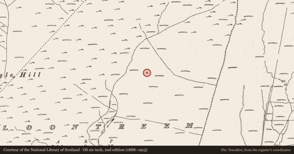 Ordnance Survey six-inch map, 2nd edition (1888–1915) covering the location of Field boundary, Cloontreem, County Cork, with a pin at the register's coordinates