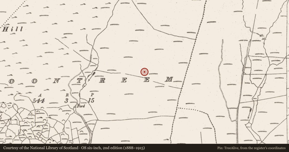 Ordnance Survey six-inch map, 2nd edition (1888–1915) covering the location of Hut site, Cloontreem, County Cork, with a pin at the register's coordinates