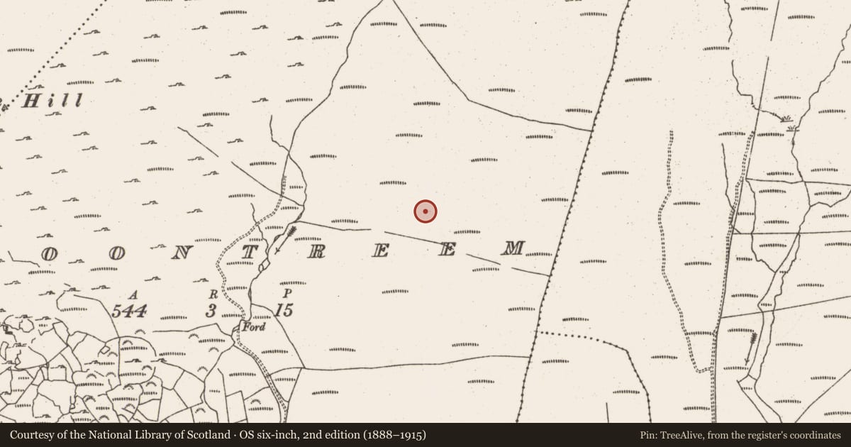 Ordnance Survey six-inch map, 2nd edition (1888–1915) covering the location of Hut site, Cloontreem, County Cork, with a pin at the register's coordinates
