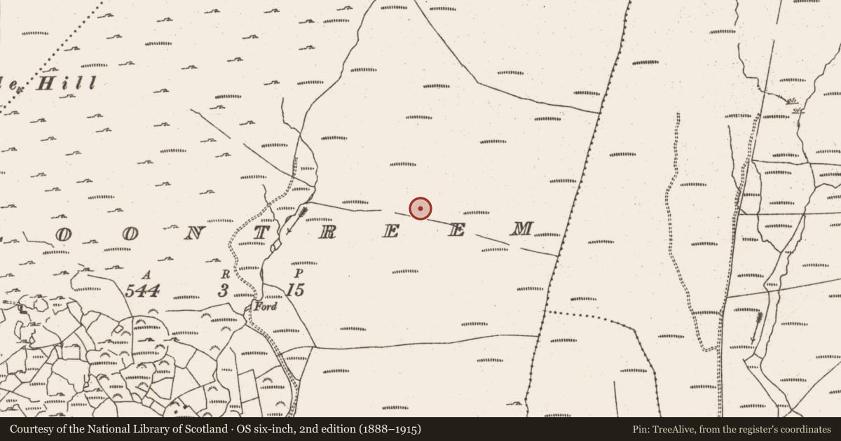 Ordnance Survey six-inch map, 2nd edition (1888–1915) covering the location of Hut site, Cloontreem, County Cork, with a pin at the register's coordinates