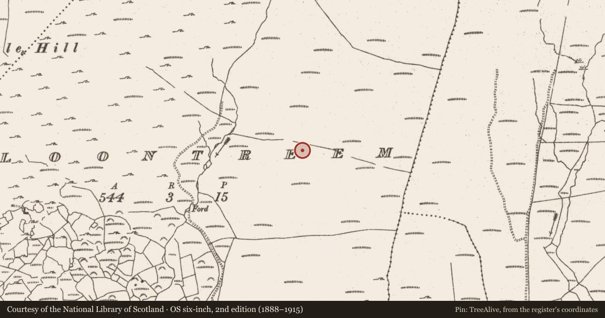 Ordnance Survey six-inch map, 2nd edition (1888–1915) covering the location of Enclosure, Cloontreem, County Cork, with a pin at the register's coordinates