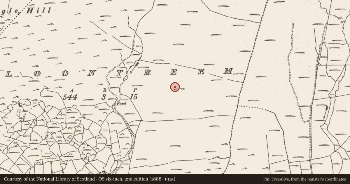 Ordnance Survey six-inch map, 2nd edition (1888–1915) covering the location of Hut site, Cloontreem, County Cork, with a pin at the register's coordinates