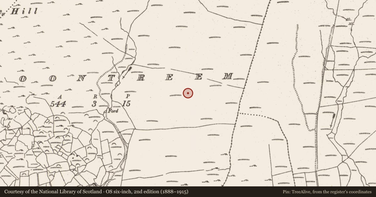 Ordnance Survey six-inch map, 2nd edition (1888–1915) covering the location of Cairn - unclassified, Cloontreem, County Cork, with a pin at the register's coordinates