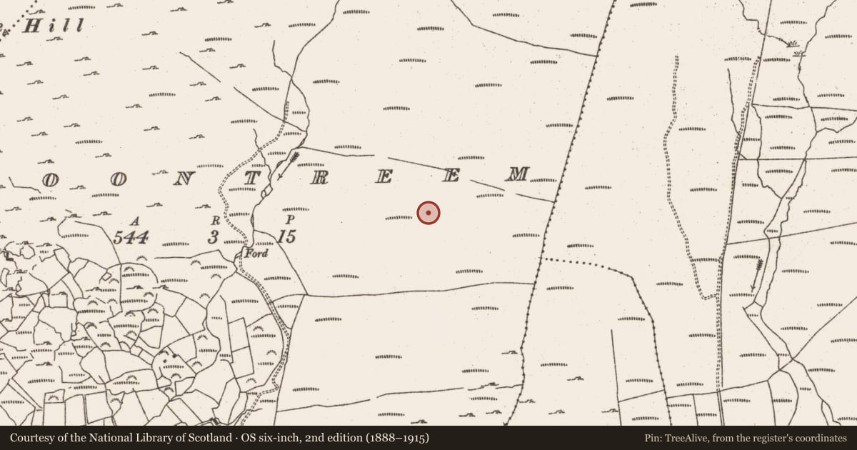 Ordnance Survey six-inch map, 2nd edition (1888–1915) covering the location of Hut site, Cloontreem, County Cork, with a pin at the register's coordinates