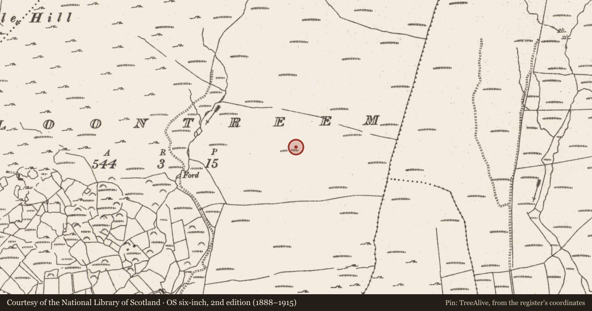 Ordnance Survey six-inch map, 2nd edition (1888–1915) covering the location of Hut site, Cloontreem, County Cork, with a pin at the register's coordinates
