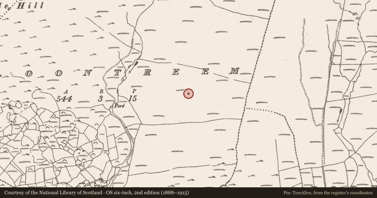 Ordnance Survey six-inch map, 2nd edition (1888–1915) covering the location of Hut site, Cloontreem, County Cork, with a pin at the register's coordinates