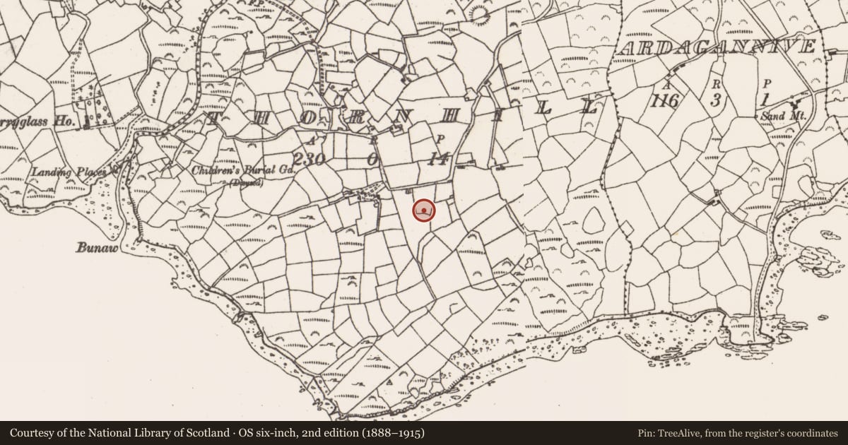 Ordnance Survey six-inch map, 2nd edition (1888–1915) covering the location of Fulacht fia, Thornhill, County Cork, with a pin at the register's coordinates
