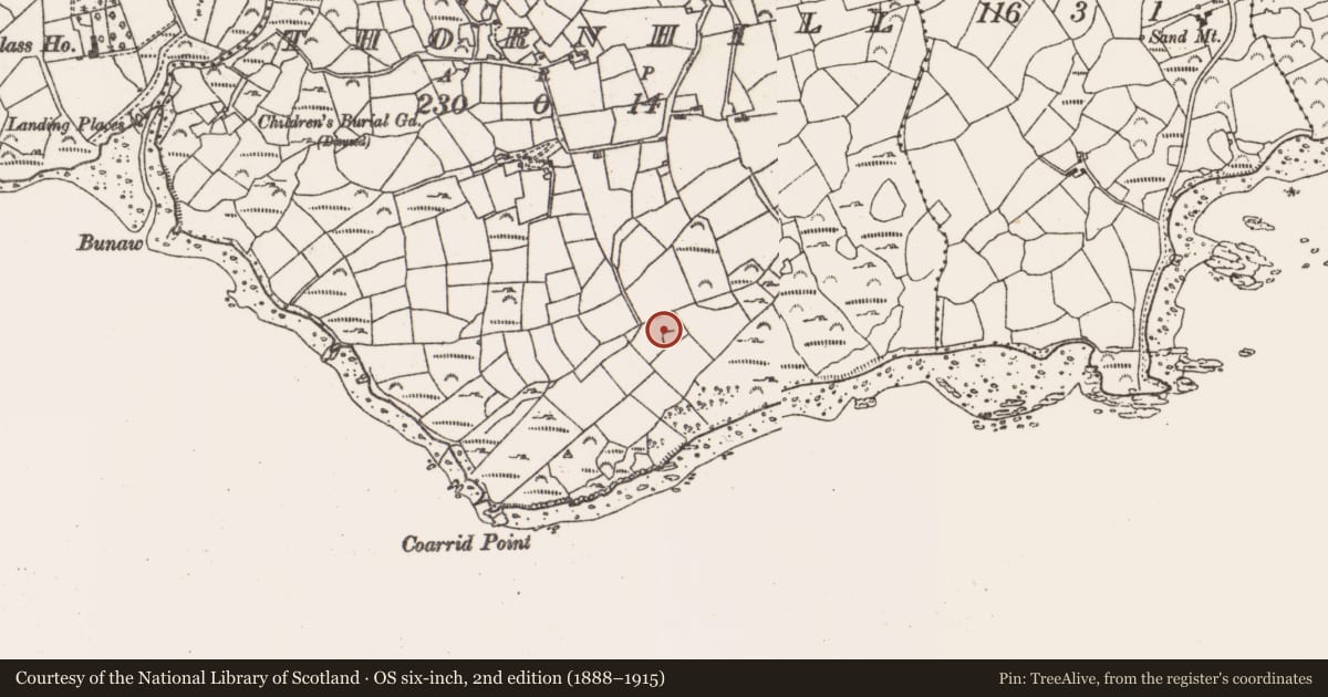 Ordnance Survey six-inch map, 2nd edition (1888–1915) covering the location of Ringfort - rath, Thornhill, County Cork, with a pin at the register's coordinates