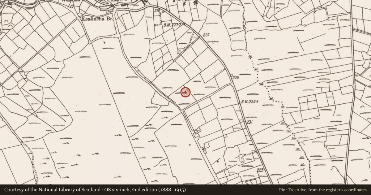 Ordnance Survey six-inch map, 2nd edition (1888–1915) covering the location of Boulder-burial, Crumpane, County Cork, with a pin at the register's coordinates