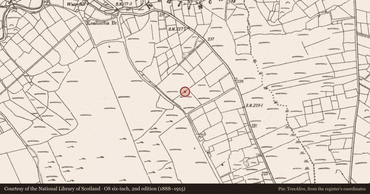 Ordnance Survey six-inch map, 2nd edition (1888–1915) covering the location of Boulder-burial, Crumpane, County Cork, with a pin at the register's coordinates