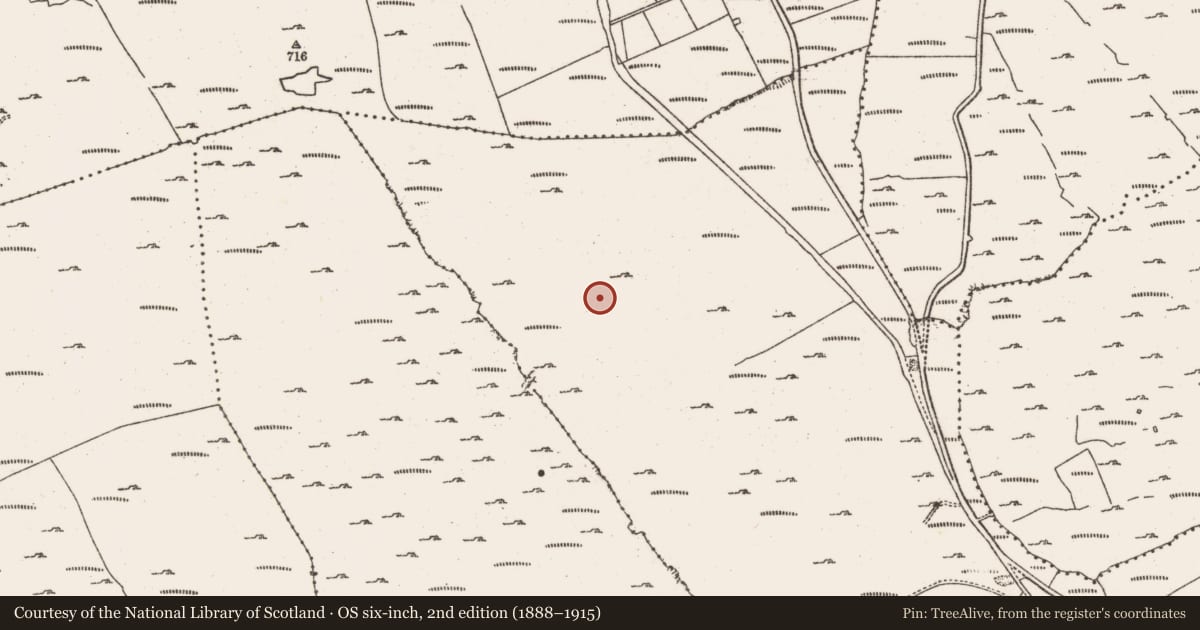 Ordnance Survey six-inch map, 2nd edition (1888–1915) covering the location of Field system, Foildarrig, County Cork, with a pin at the register's coordinates