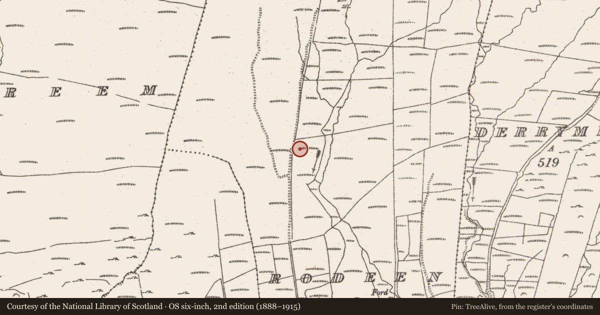Ordnance Survey six-inch map, 2nd edition (1888–1915) covering the location of Standing stone, Rodeen, County Cork, with a pin at the register's coordinates