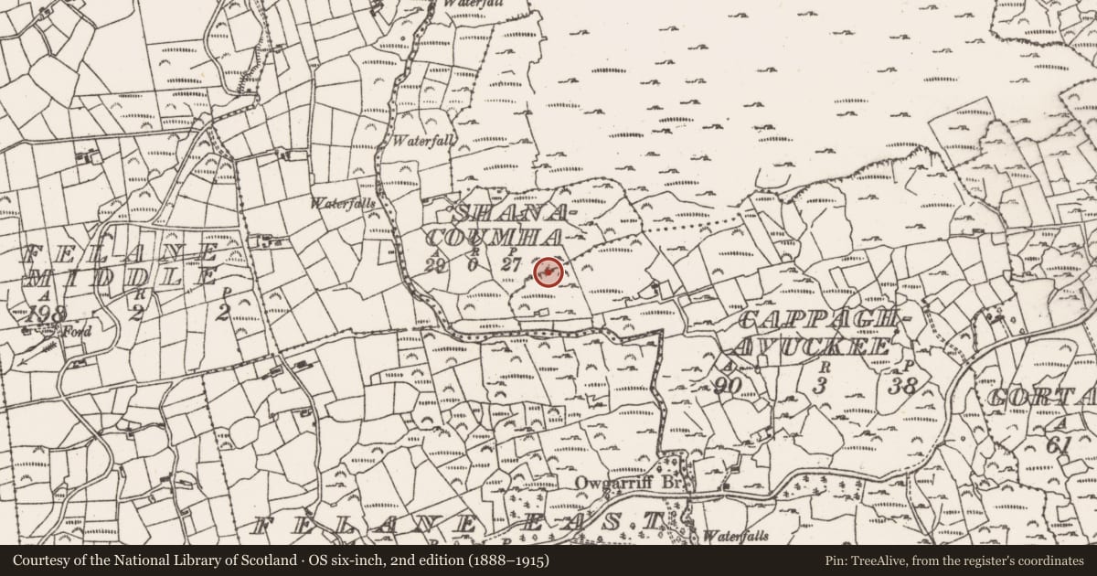 Ordnance Survey six-inch map, 2nd edition (1888–1915) covering the location of Boulder-burial, Cappaghavuckee, County Cork, with a pin at the register's coordinates