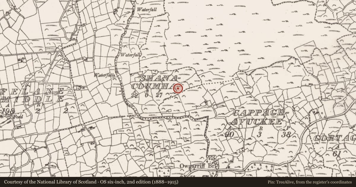 Ordnance Survey six-inch map, 2nd edition (1888–1915) covering the location of Mass-house, Shanacoumha, County Cork, with a pin at the register's coordinates