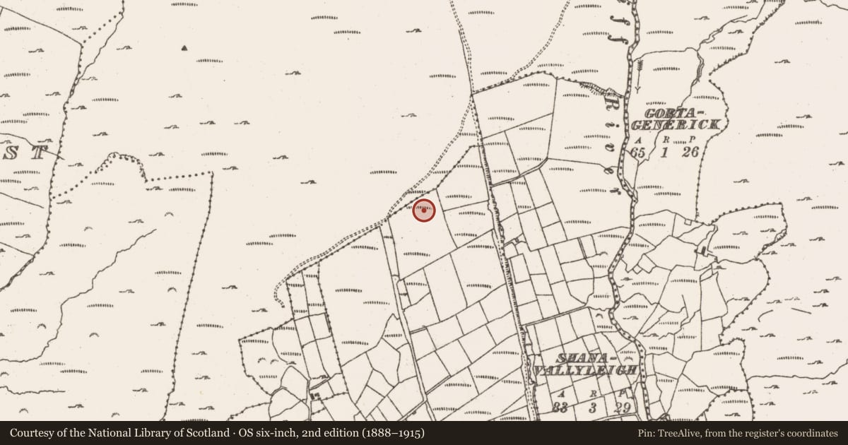 Ordnance Survey six-inch map, 2nd edition (1888–1915) covering the location of Standing stone, Felane Middle, County Cork, with a pin at the register's coordinates