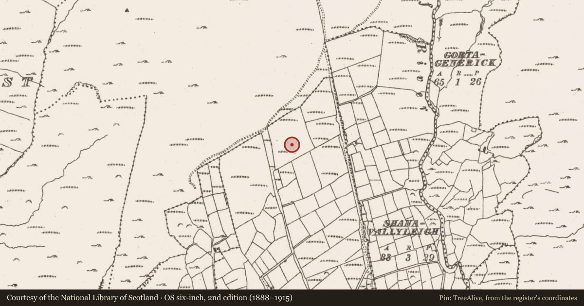Ordnance Survey six-inch map, 2nd edition (1888–1915) covering the location of Field system, Felane Middle, County Cork, with a pin at the register's coordinates
