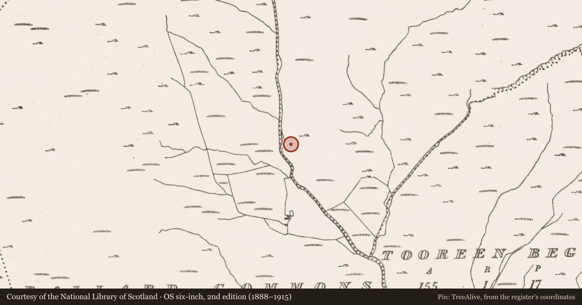 Ordnance Survey six-inch map, 2nd edition (1888–1915) covering the location of Cairn - unclassified, Rossmackowen Commons, County Cork, with a pin at the register's coordinates